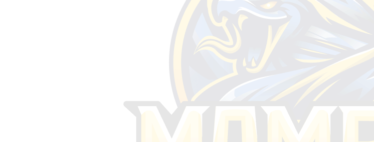 Club Banner